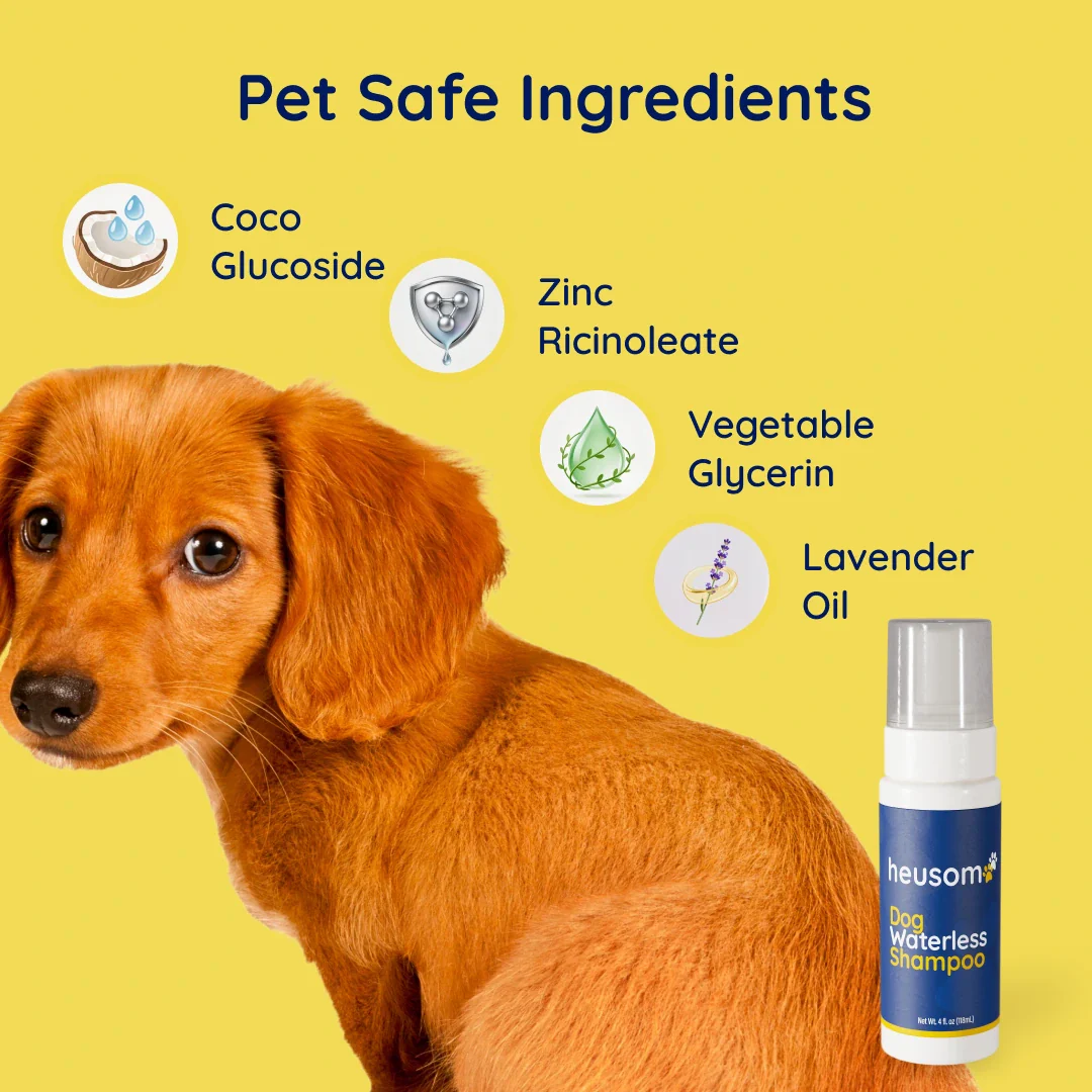 Dog Waterless Shampoo - Image 3